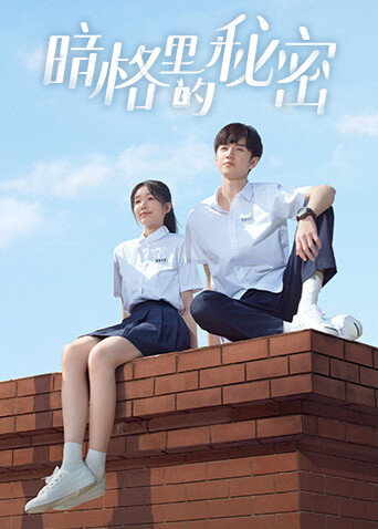 暗格里的秘密封面图