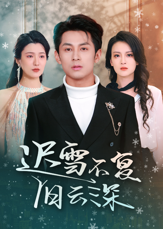 迟雪不复旧云深封面图