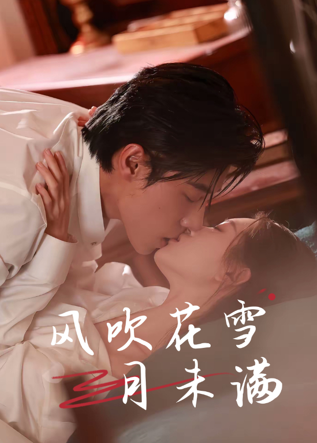 风吹花雪月未满封面图