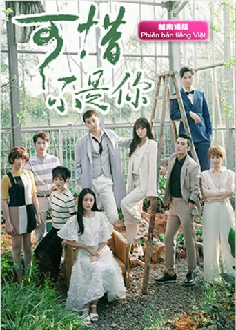 可惜不是你 越南语版封面图