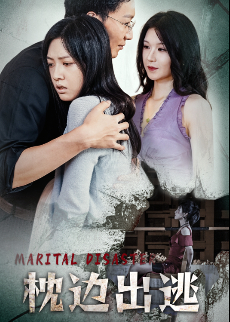 枕边出逃封面图