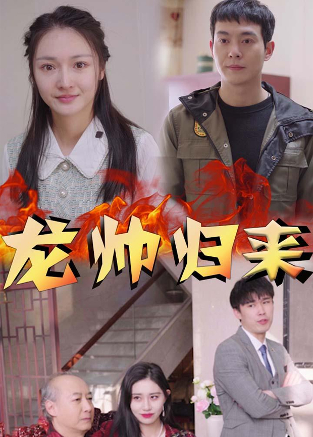 龙帅归来封面图