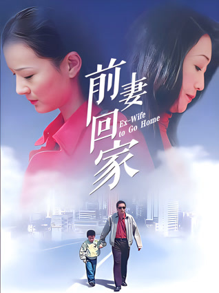 前妻回家封面图