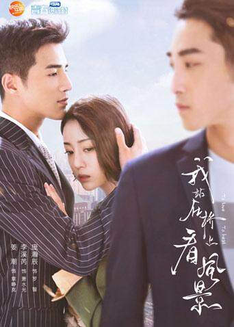 我站在桥上看风景 DVD版封面图