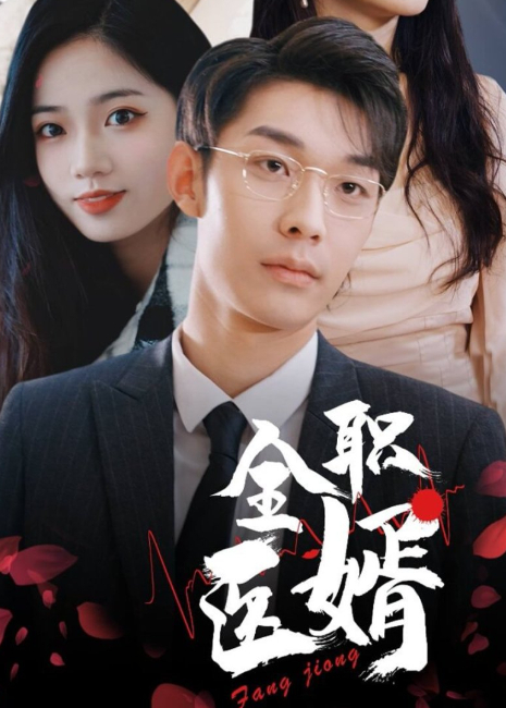 全职医婿封面图