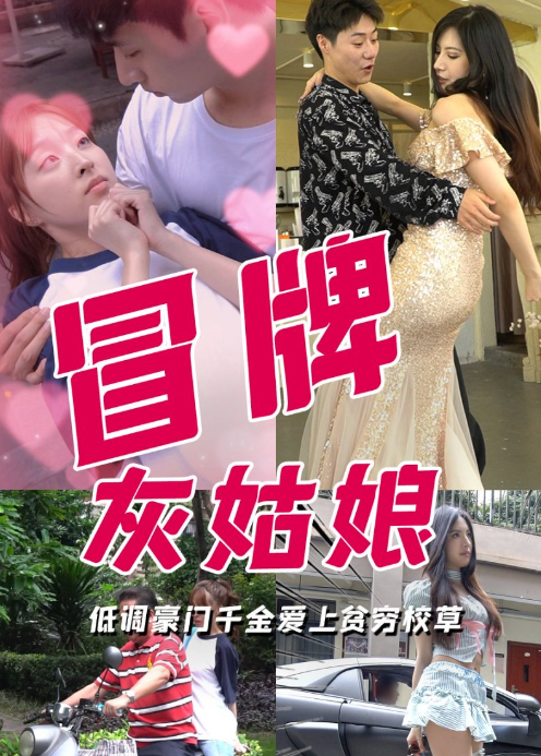 冒牌灰姑娘封面图