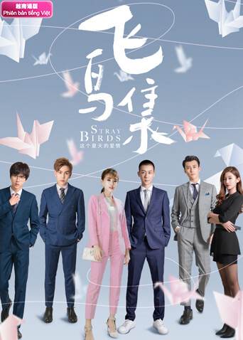 飞鸟集 越南语版封面图