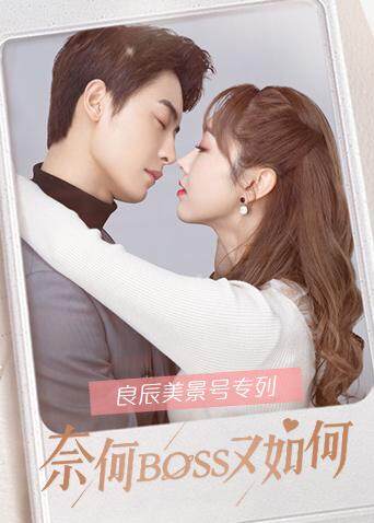 奈何BOSS又如何 良辰美景号专列封面图