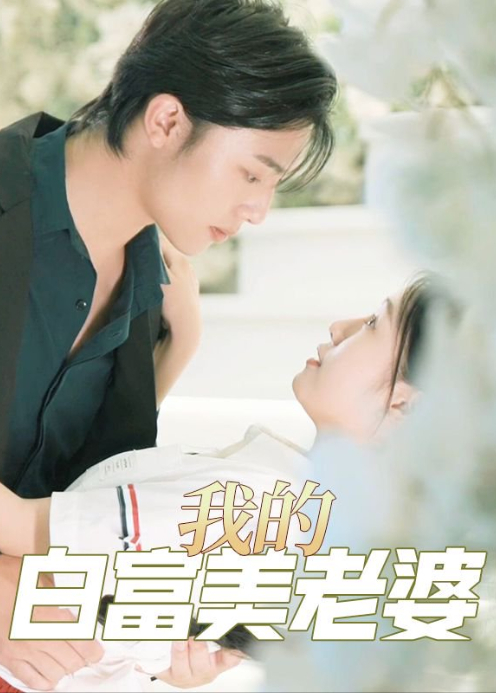 我的白富美老婆封面图