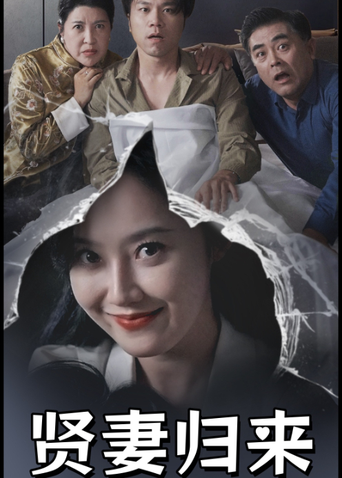 贤妻归来封面图