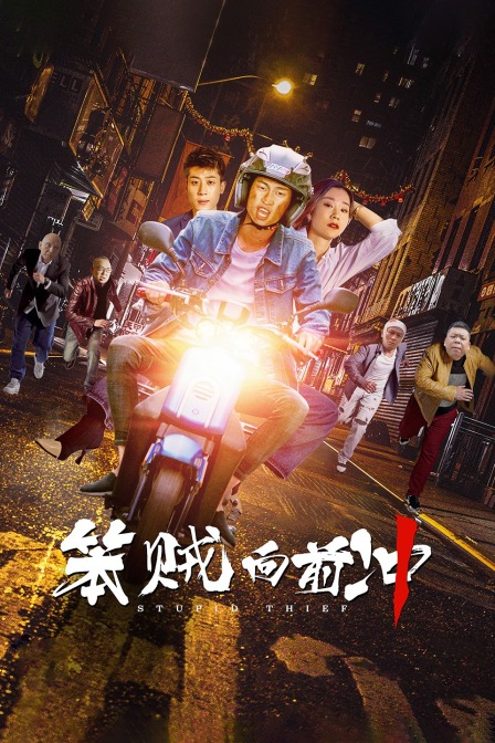 笨贼向前冲封面图