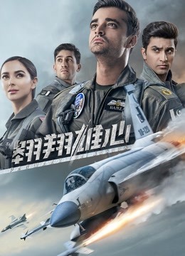 翱翔雄心封面图