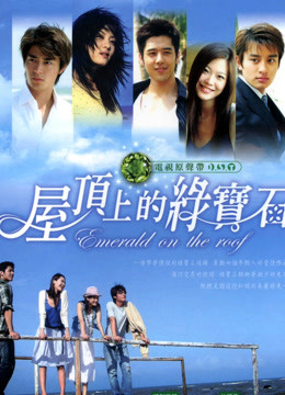 屋顶上的绿宝石封面图
