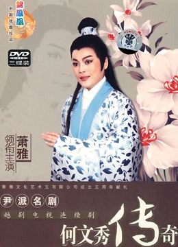 何文秀传奇封面图