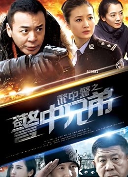 警中警之警中兄弟封面图