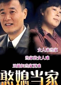 憨媳当家封面图