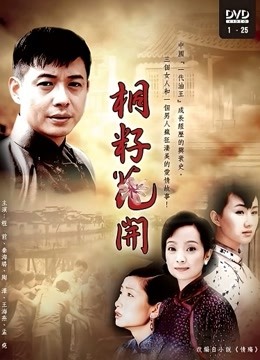 桐籽花开封面图