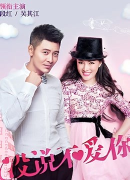 没说不爱你封面图