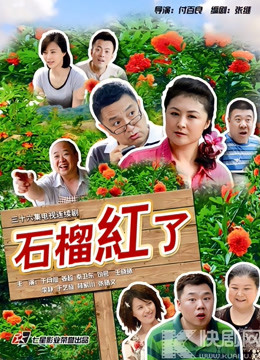 石榴红了封面图