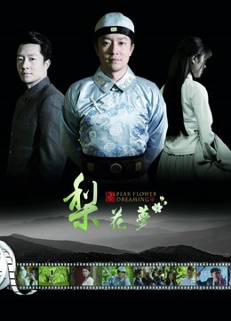 梨花梦封面图