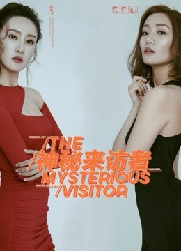 神秘来访者封面图