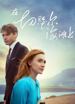 在切瑟尔海滩上封面图