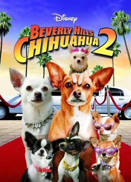 比弗利拜金狗2封面图