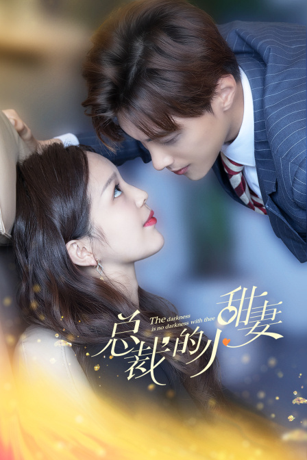 总裁的小甜妻封面图