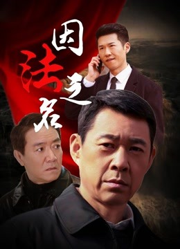 因法之名封面图