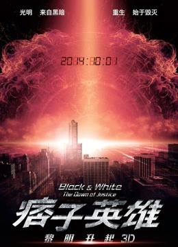 痞子英雄2：黎明升起封面图