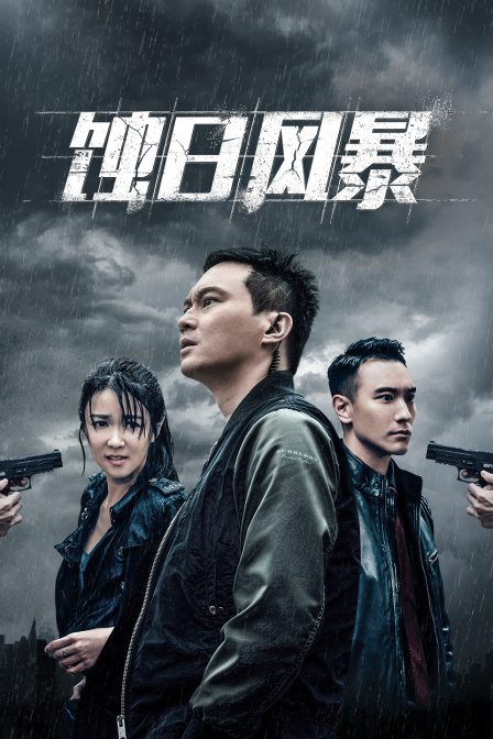 蚀日风暴封面图