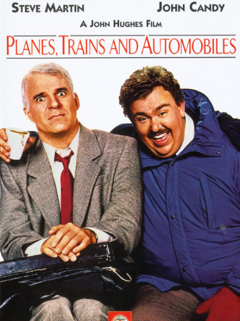 落难见真情封面图