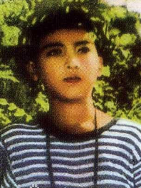 雁鸿岭下封面图