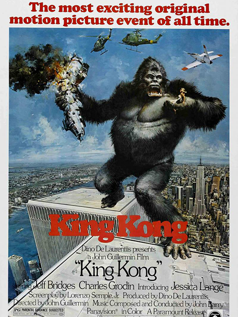 金刚：传奇重生封面图