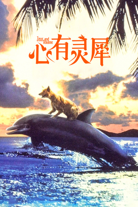 心有灵犀封面图