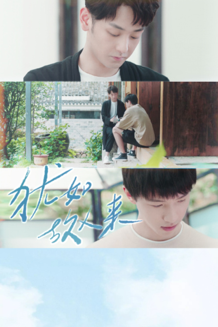 犹如故人来封面图