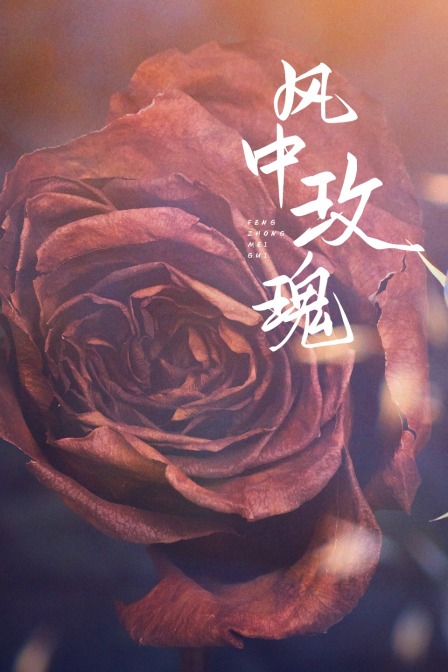风中玫瑰封面图