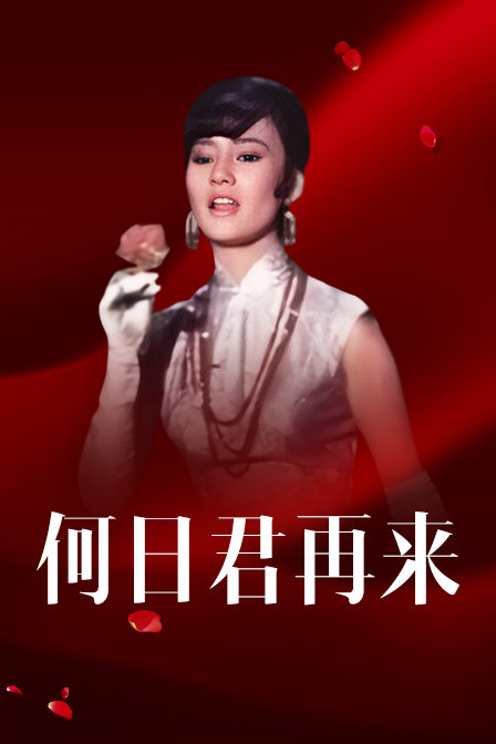 何日君再来封面图