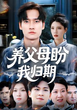 养父母盼我归期封面图