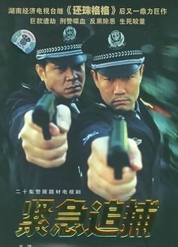 紧急追捕封面图