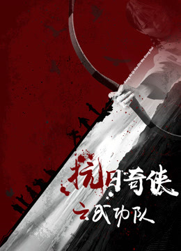 抗日奇侠之武功队封面图