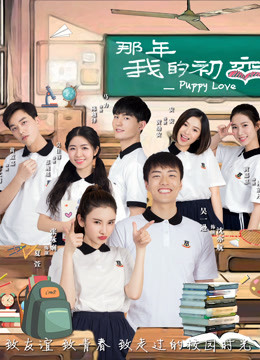 那年我的初恋封面图