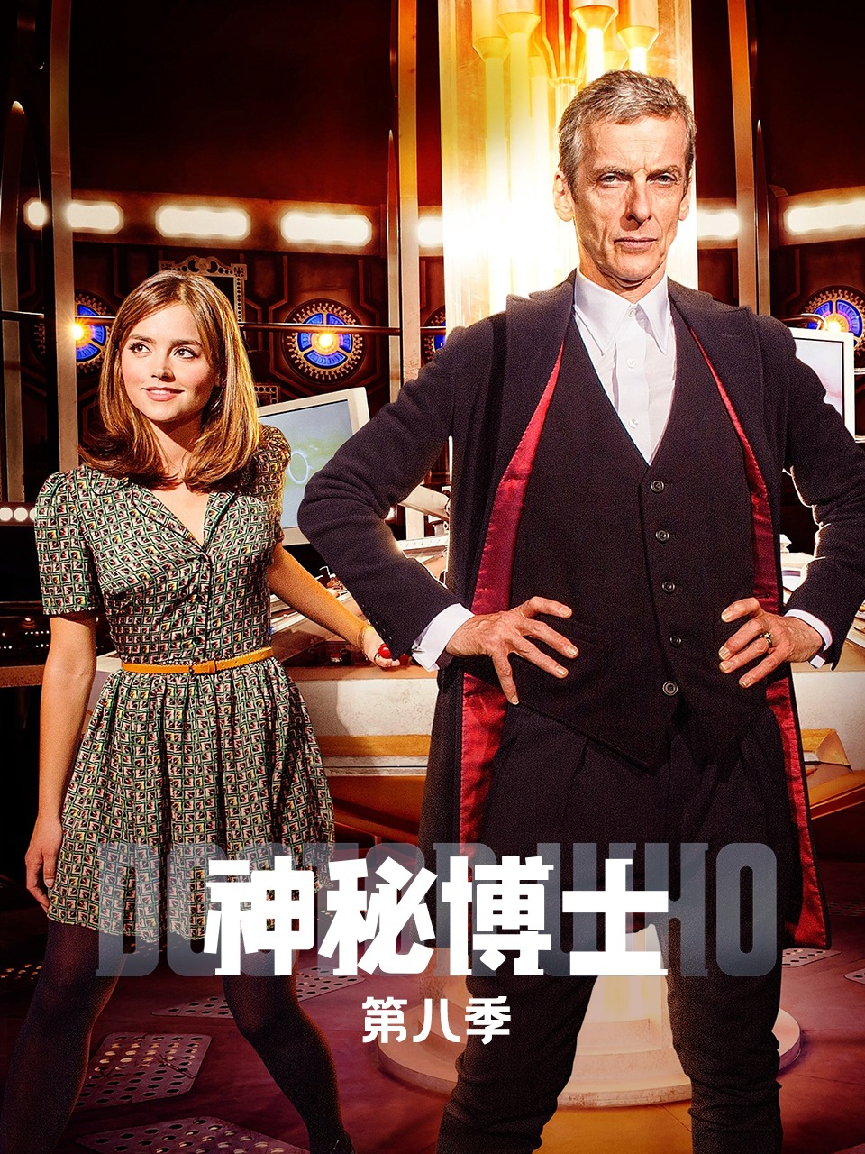 神秘博士 第八季封面图