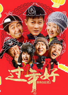 我来自北京之过年好封面图