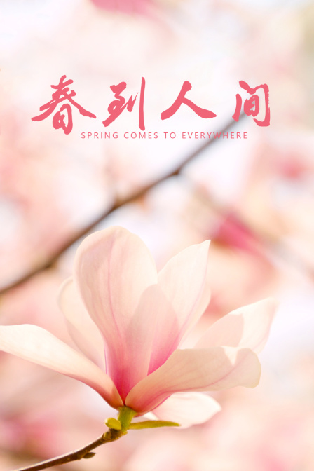 春到人间封面图