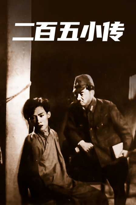 二百五小传封面图