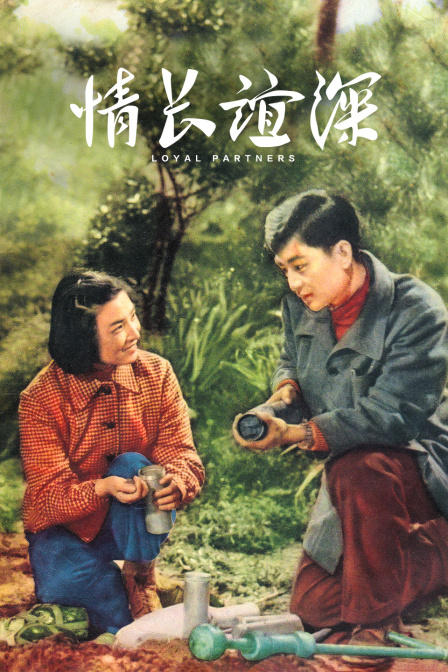 情长谊深封面图