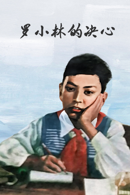 罗小林的决心封面图