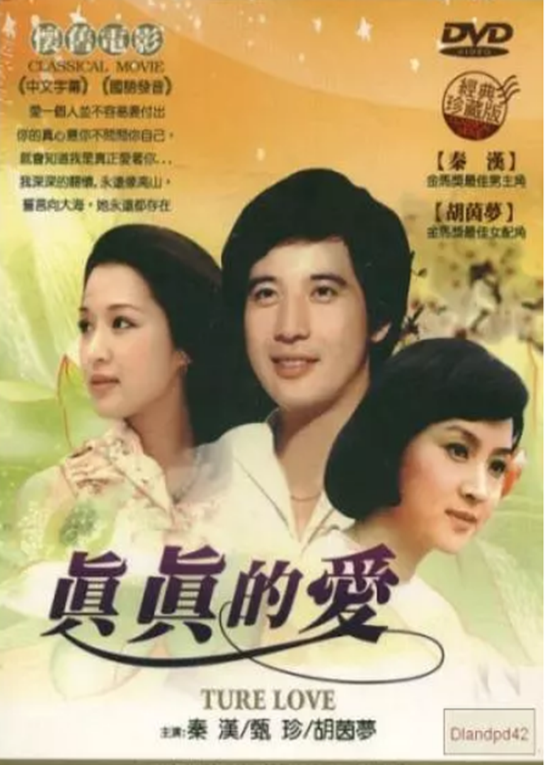 真真的爱封面图