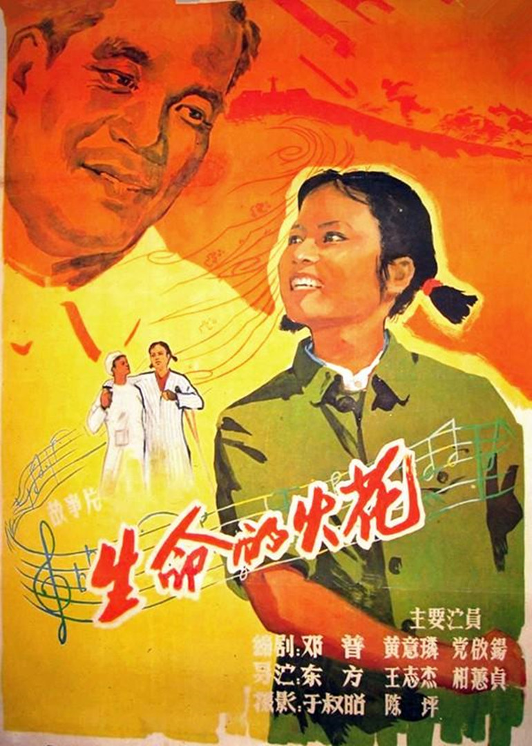 生命的火花封面图